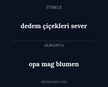 dedem çiçekleri sever - opa mag blumen