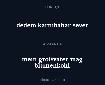 dedem karnıbahar sever - mein großvater mag blumenkohl