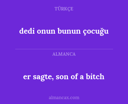 er sagte, son of a bitch - dedi onun bunun çocuğu