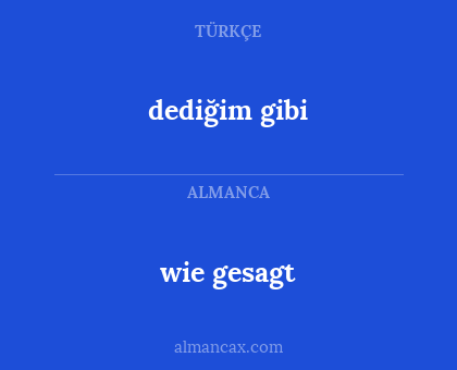 dediğim gibi - wie gesagt