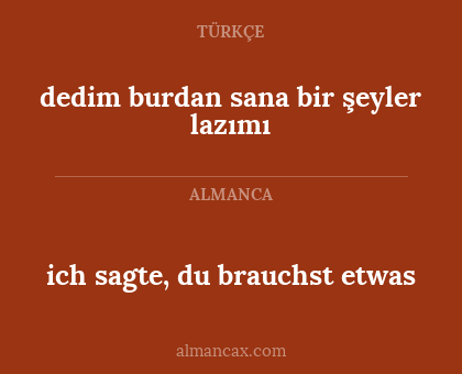 ich sagte, du brauchst etwas - dedim burdan sana bir şeyler lazımı