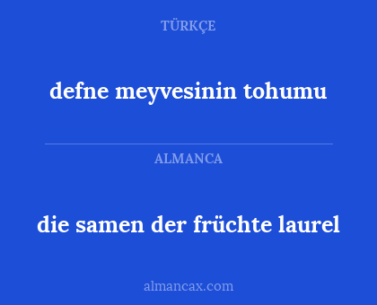 die samen der früchte laurel - defne meyvesinin tohumu