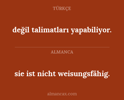 değil talimatları yapabiliyor. - sie ist nicht weisungsfähig.