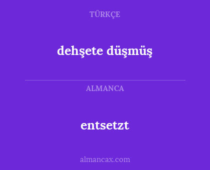 entsetzt - dehşete düşmüş