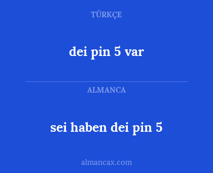 dei pin 5 var - sei haben dei pin 5