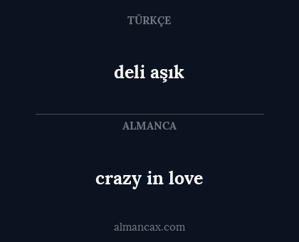 crazy in love - deli aşık