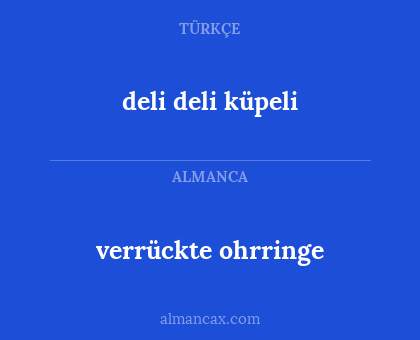 verrückte ohrringe - deli deli küpeli