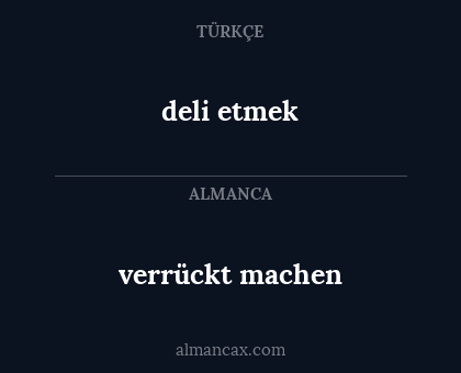 verrückt machen - deli etmek