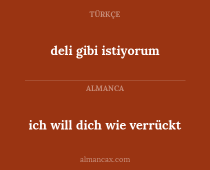 deli gibi istiyorum - ich will dich wie verrückt