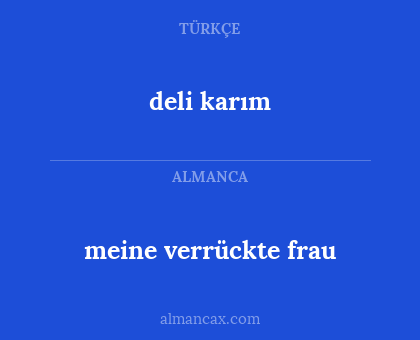 deli karım - meine verrückte frau