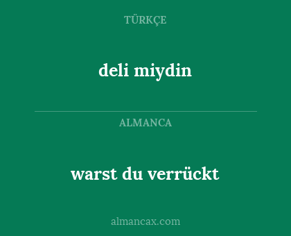 warst du verrückt - deli miydin