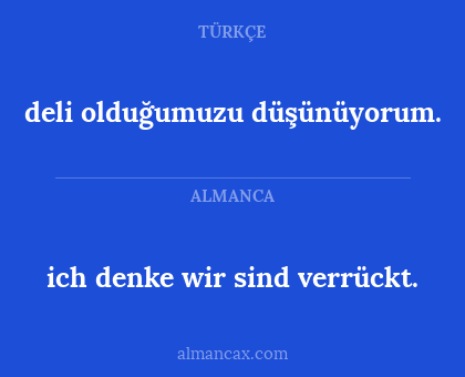 ich denke wir sind verrückt. - deli olduğumuzu düşünüyorum.