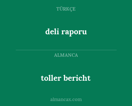 toller bericht - deli raporu