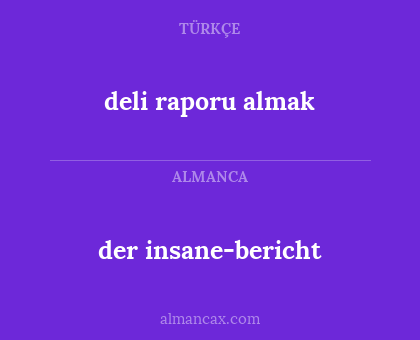 deli raporu almak - der insane-bericht