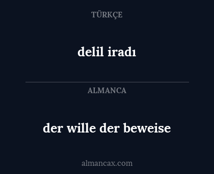der wille der beweise - delil iradı
