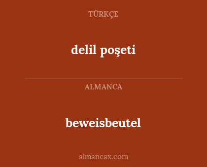 delil poşeti - beweisbeutel
