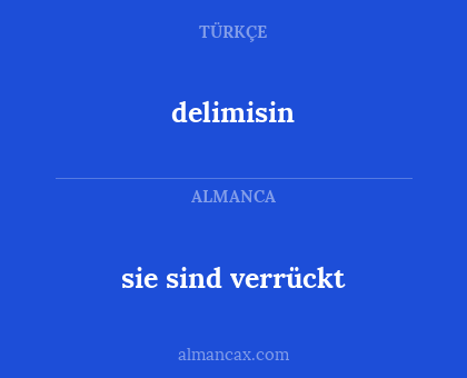 delimisin - sie sind verrückt