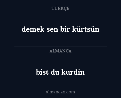 demek sen bir kürtsün - bist du kurdin