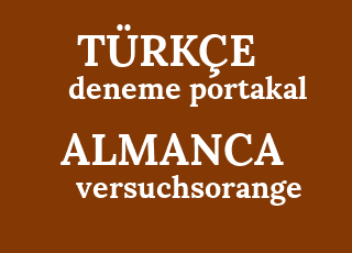 fitsarana+orange-versuchsorange.png