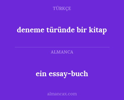 deneme türünde bir kitap - ein essay-buch