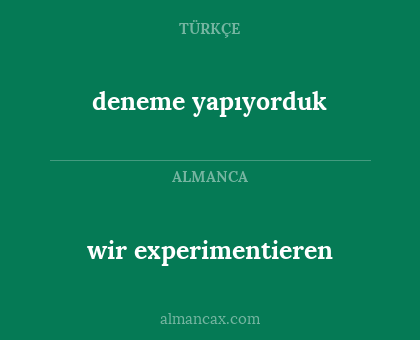 deneme yapıyorduk - wir experimentieren