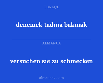 versuchen sie zu schmecken - denemek tadına bakmak