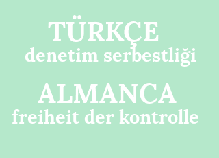 denetim+serbestli%C4%9Fi-freiheit+der+kontrolle.png