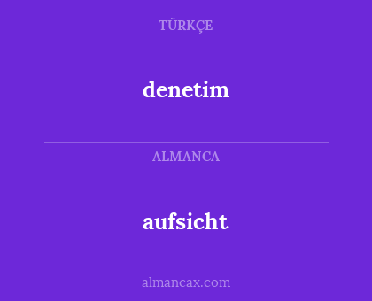 denetim - aufsicht