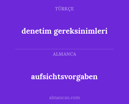 aufsichtsvorgaben - denetim gereksinimleri