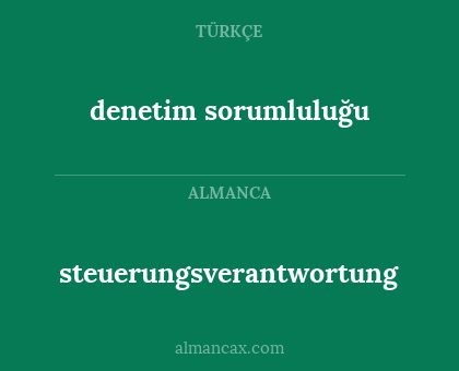 denetim sorumluluğu - steuerungsverantwortung
