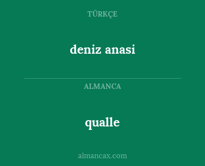qualle - deniz anasi