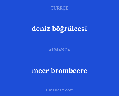 meer brombeere - deniz böğrülcesi