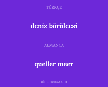 queller meer - deniz börülcesi