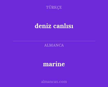 marine - deniz canlısı