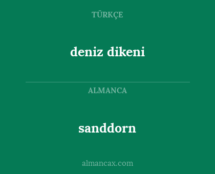 sanddorn - deniz dikeni
