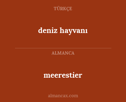 meerestier - deniz hayvanı