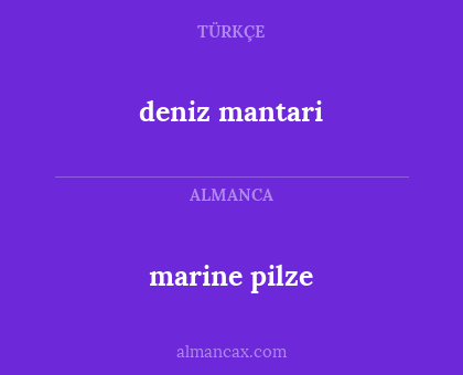 deniz mantari - marine pilze
