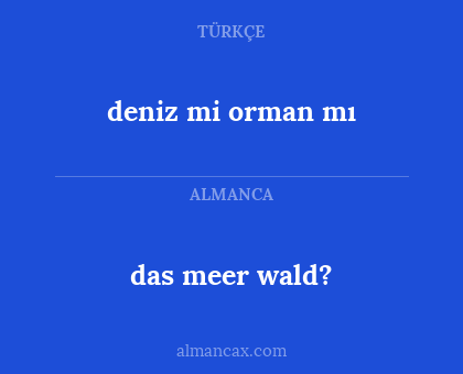 deniz mi orman mı - das meer wald?