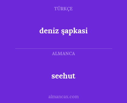 seehut - deniz şapkasi