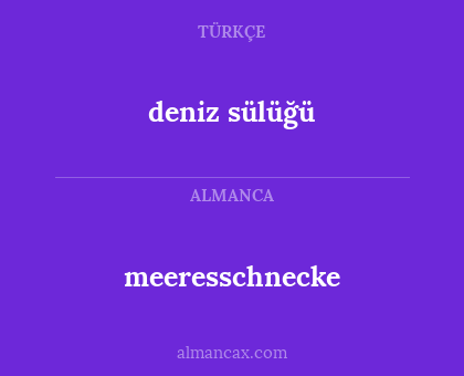 meeresschnecke - deniz sülüğü