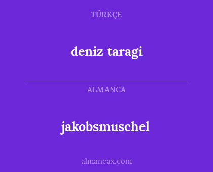 deniz taragi - jakobsmuschel