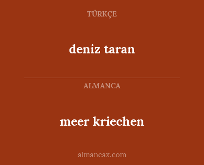 meer kriechen - deniz taran