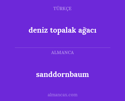 sanddornbaum - deniz topalak ağacı
