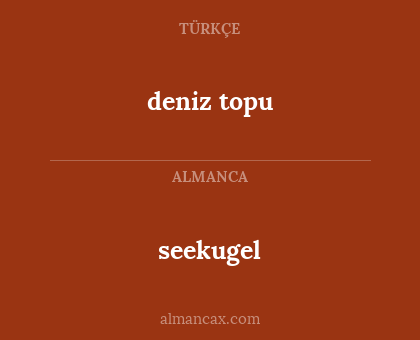 seekugel - deniz topu