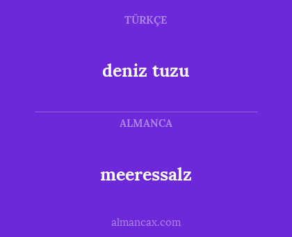 meeressalz - deniz tuzu