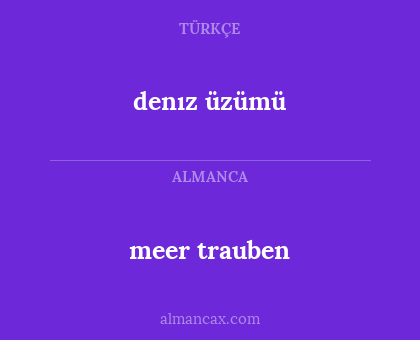 meer trauben - denız üzümü