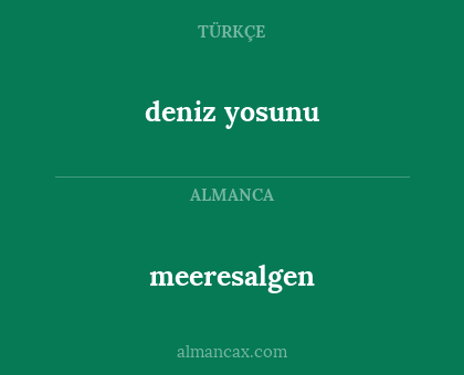 meeresalgen - deniz yosunu