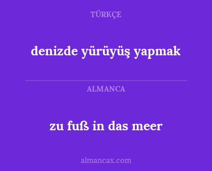 denizde yürüyüş yapmak - zu fuß in das meer