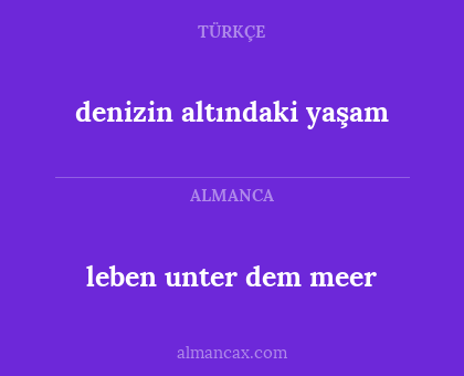 leben unter dem meer - denizin altındaki yaşam