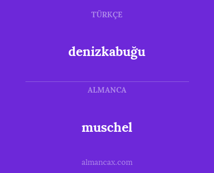 denizkabuğu - muschel